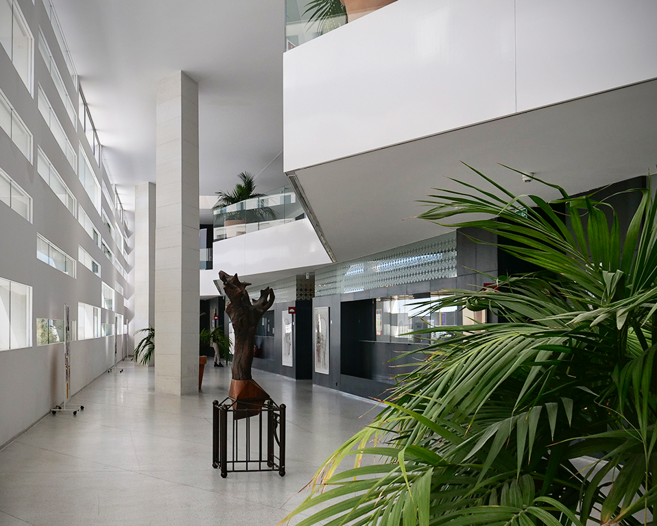 Imagen de los pasillos internos de la Facultad de Ciencias de la salud que cuenta con diversos tipos de plantas