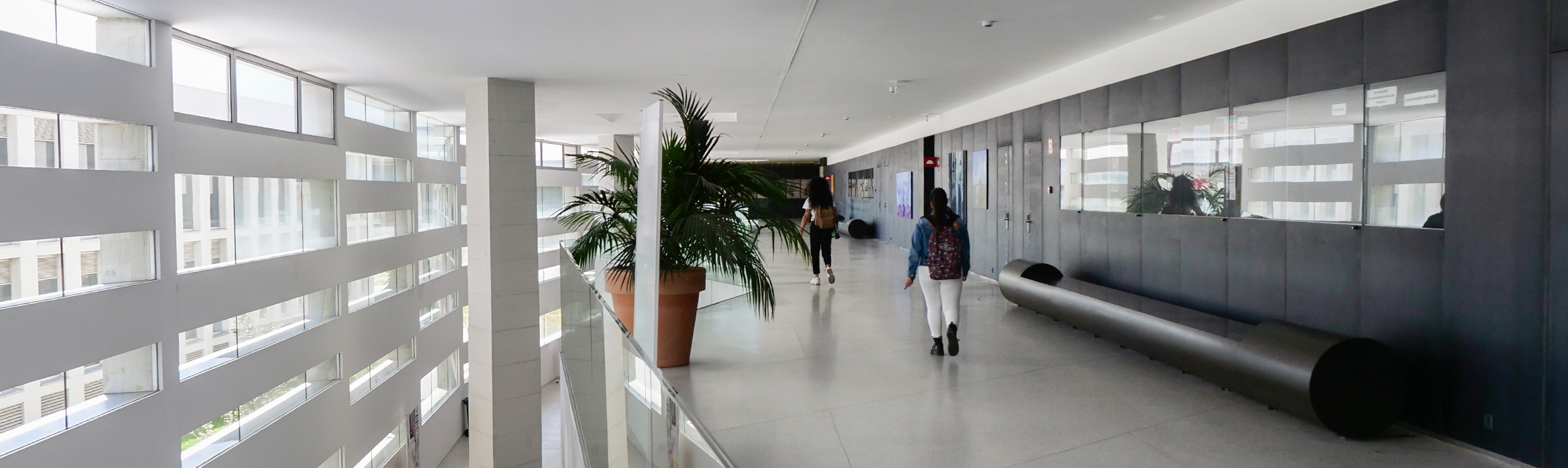 Amplio pasillo con cuatros, macetas y bancos del Campus de Ciencias de la Salud