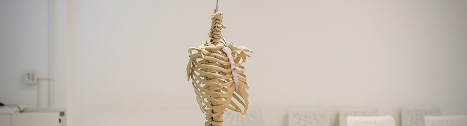 Esqueleto de resina con ruedas en un aula de la Facultad de Ciencias de la Salud