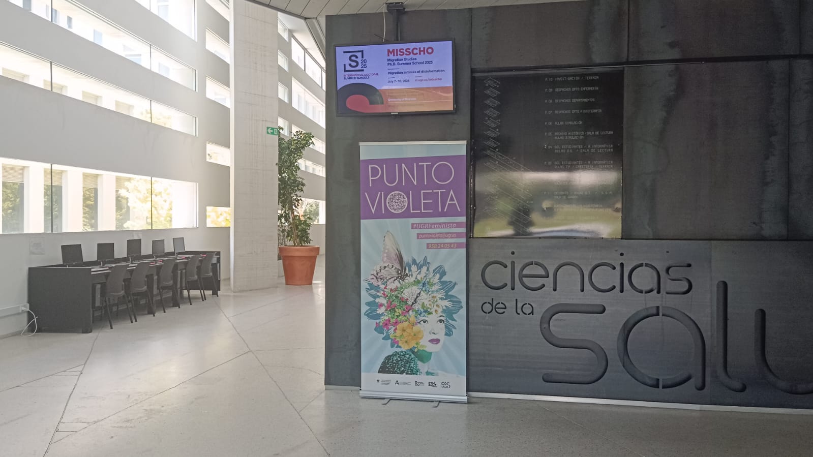 Segundo punto violeta